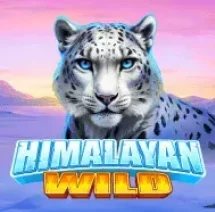 Himalayan Wild